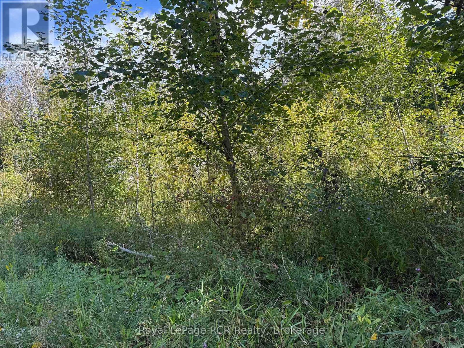PTLT 16 SIDEROAD 16A