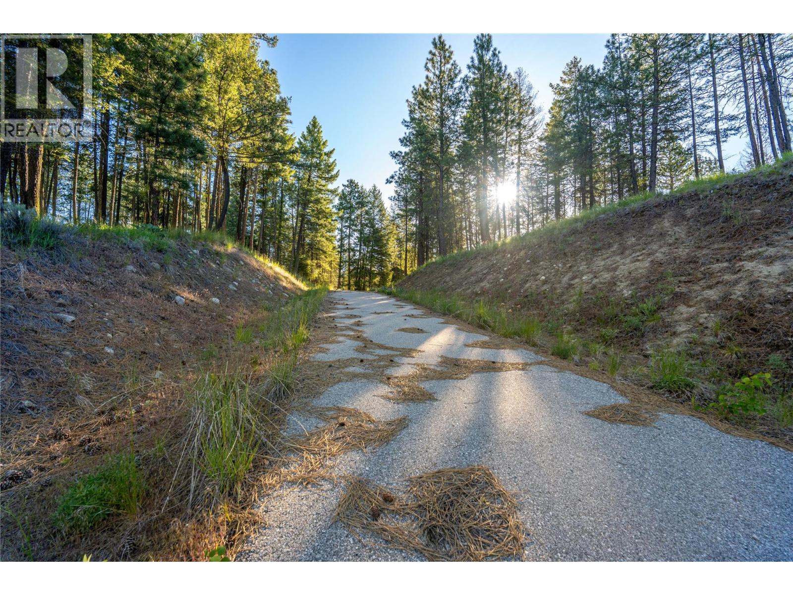 375 Grizzly Place - Photo 4