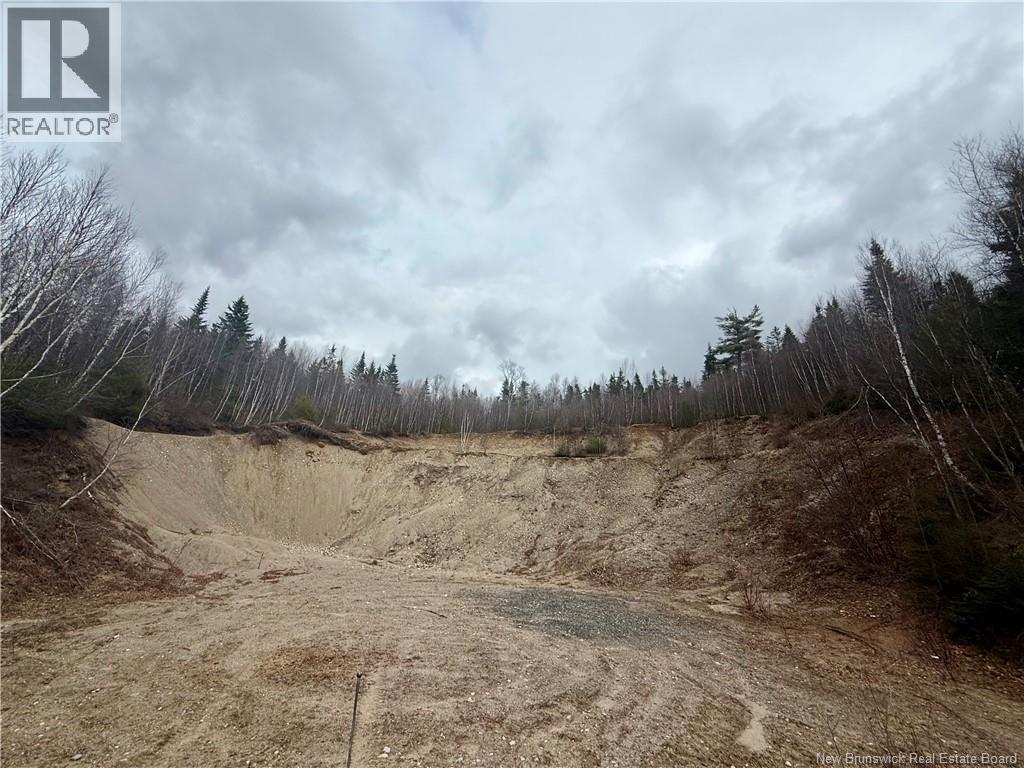 Vacant Land Route 785 - Photo 2