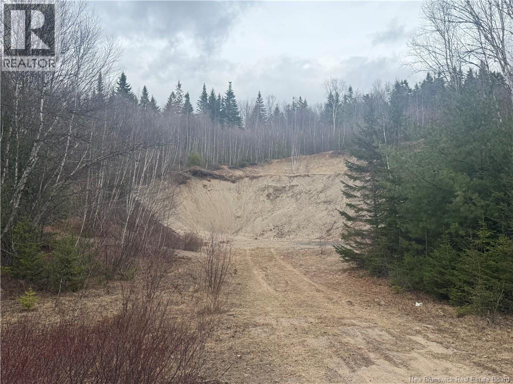 Vacant Land Route 785 - Photo 3