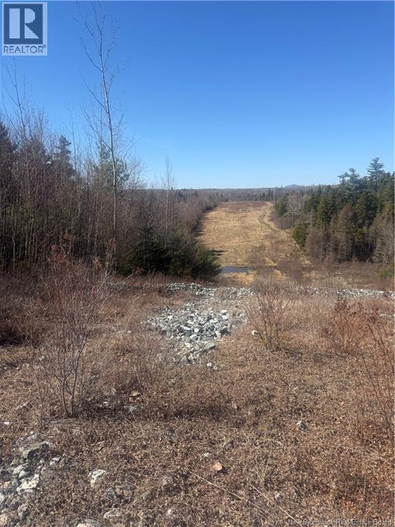 Vacant Land Route 785 - Photo 4