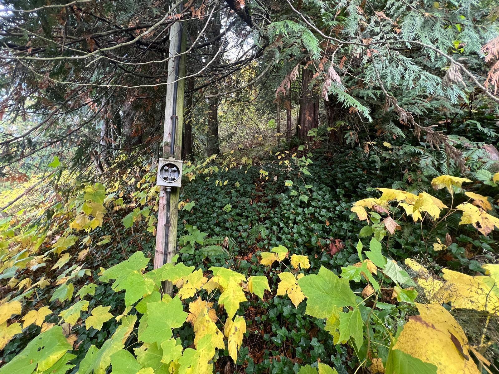 45992 GURNEY ROAD, Cultus Lake East