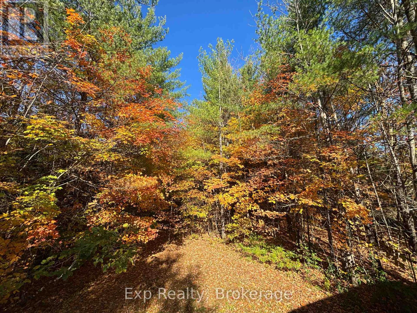 794 PINEGROVE ROAD