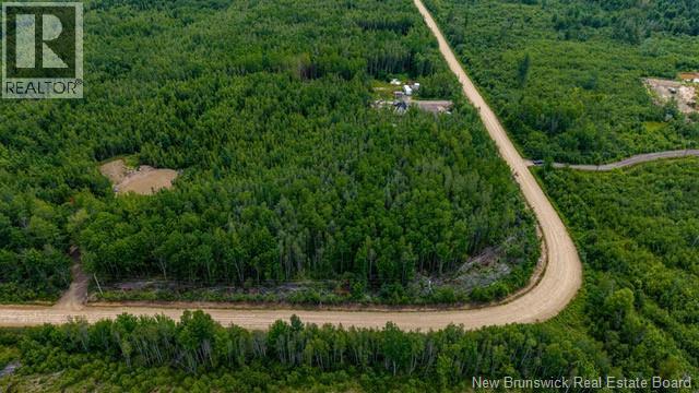 Lot Village-des-Cormier Road - Photo 3