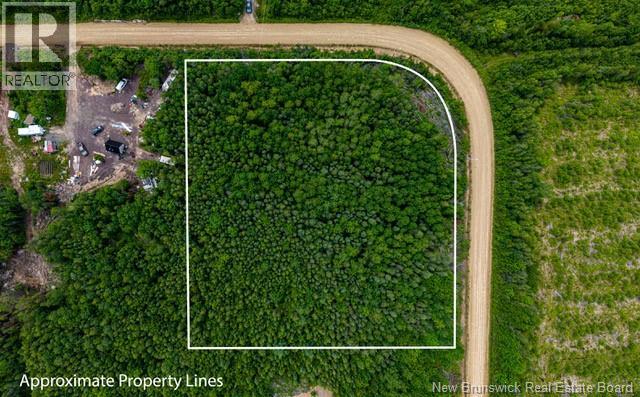 Lot Village-des-Cormier Road - Photo 2