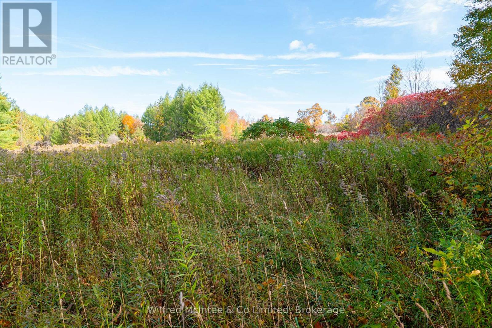 LOT 13 3 CONCESSION