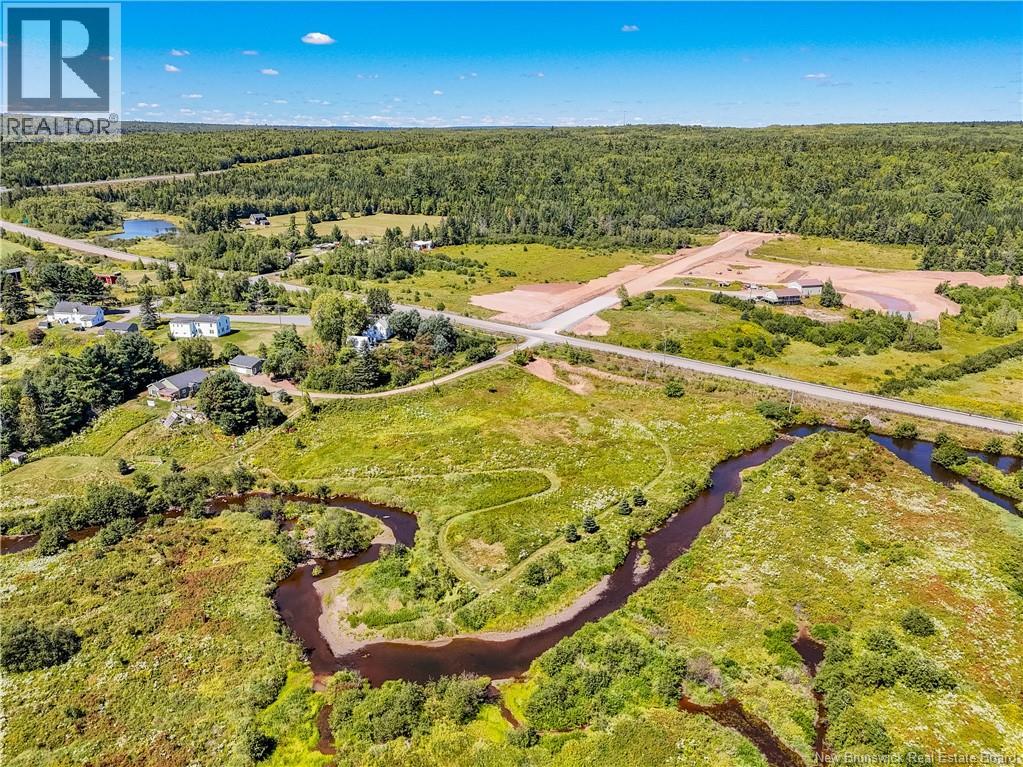 LOT Penniac Road - Photo 4