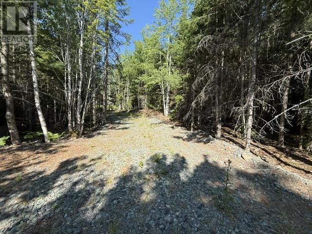 Lot Windham Hill Road - Photo 4