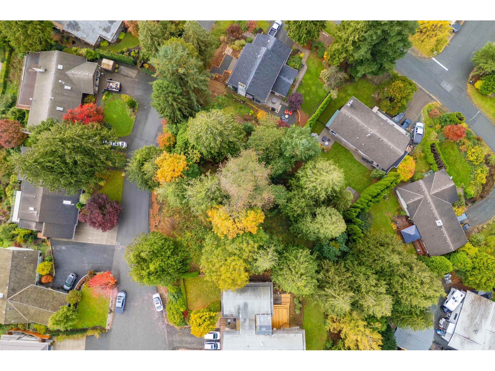 10035 TIMBERLINE PLACE, Little Mountain