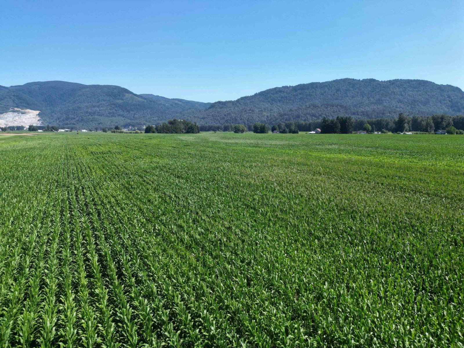 49AC HYDE BUKER ROAD