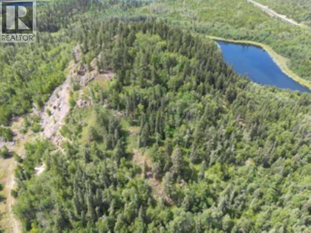 LOT 1 LILY LAKE ROAD