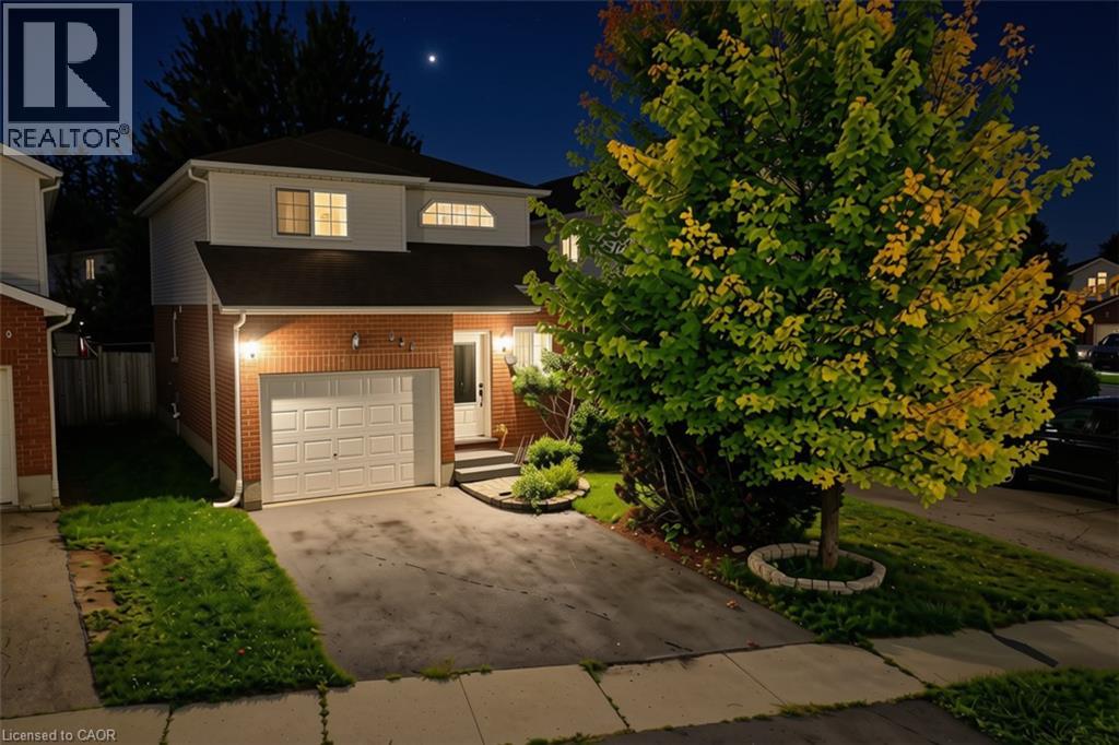 237 GREY FOX Drive