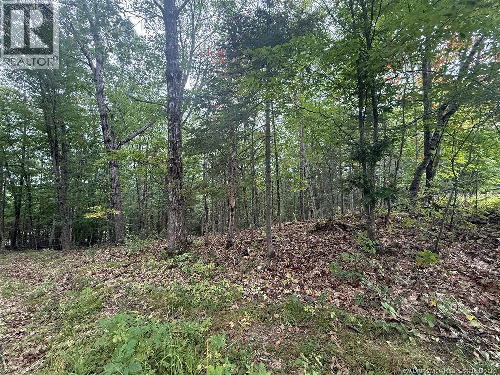 26-1 Route 105 - Photo 2