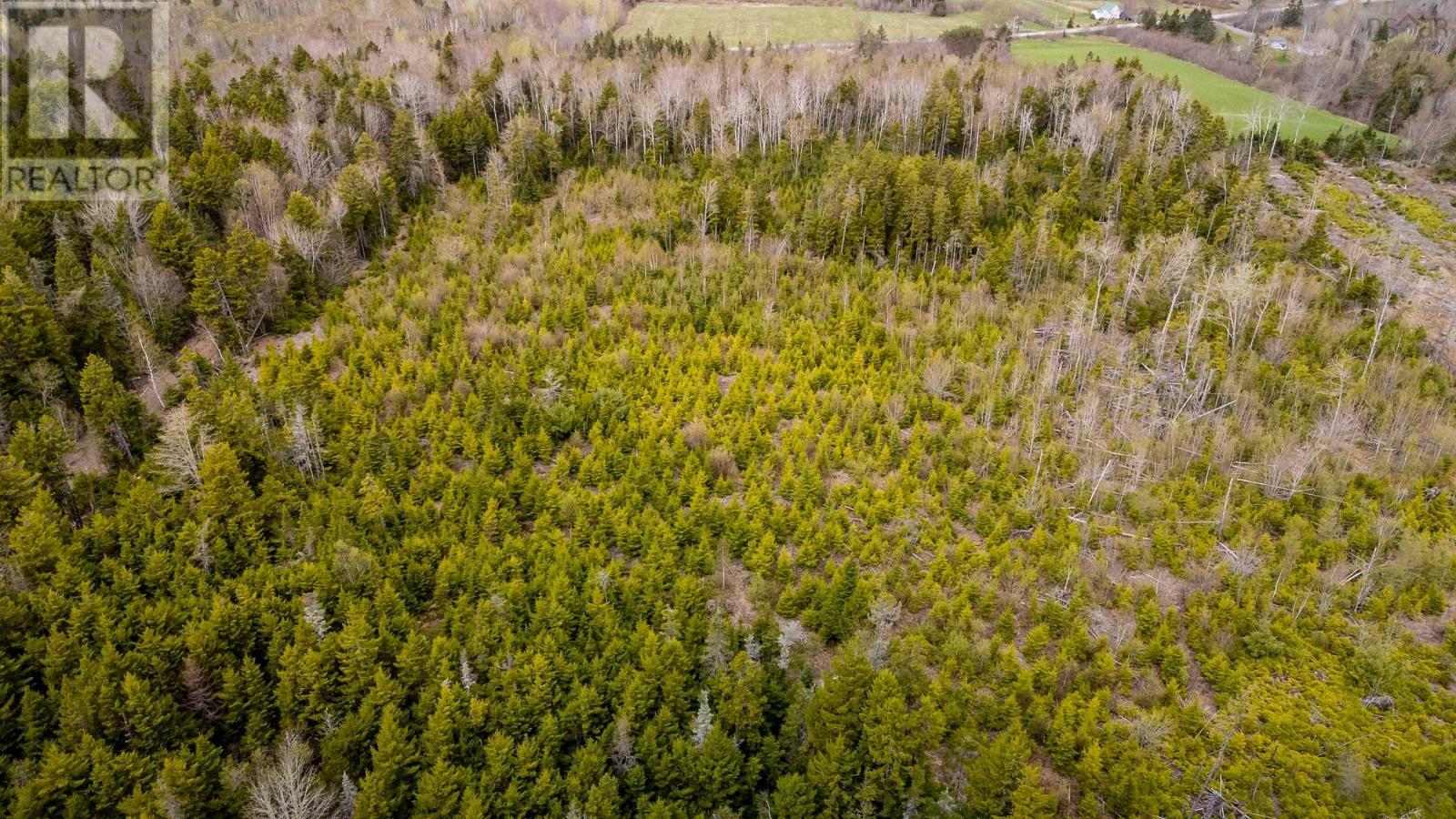Lot Highway 215 - Photo 2