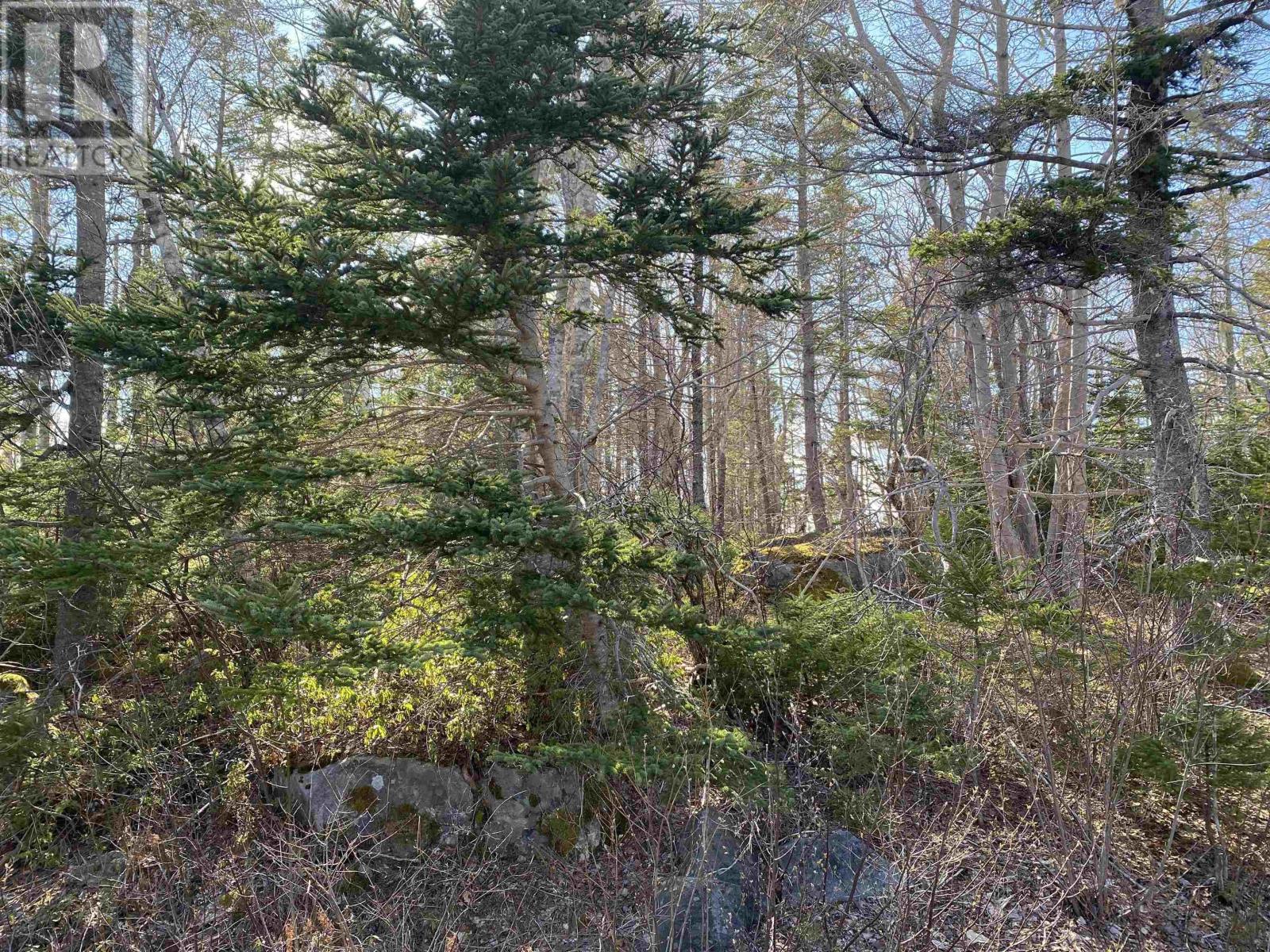 Lot 10 Eastern Shore Road - Photo 4