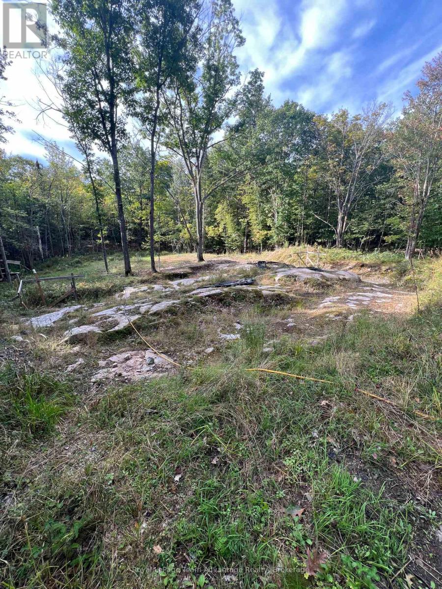 69 CARLING BAY ROAD W