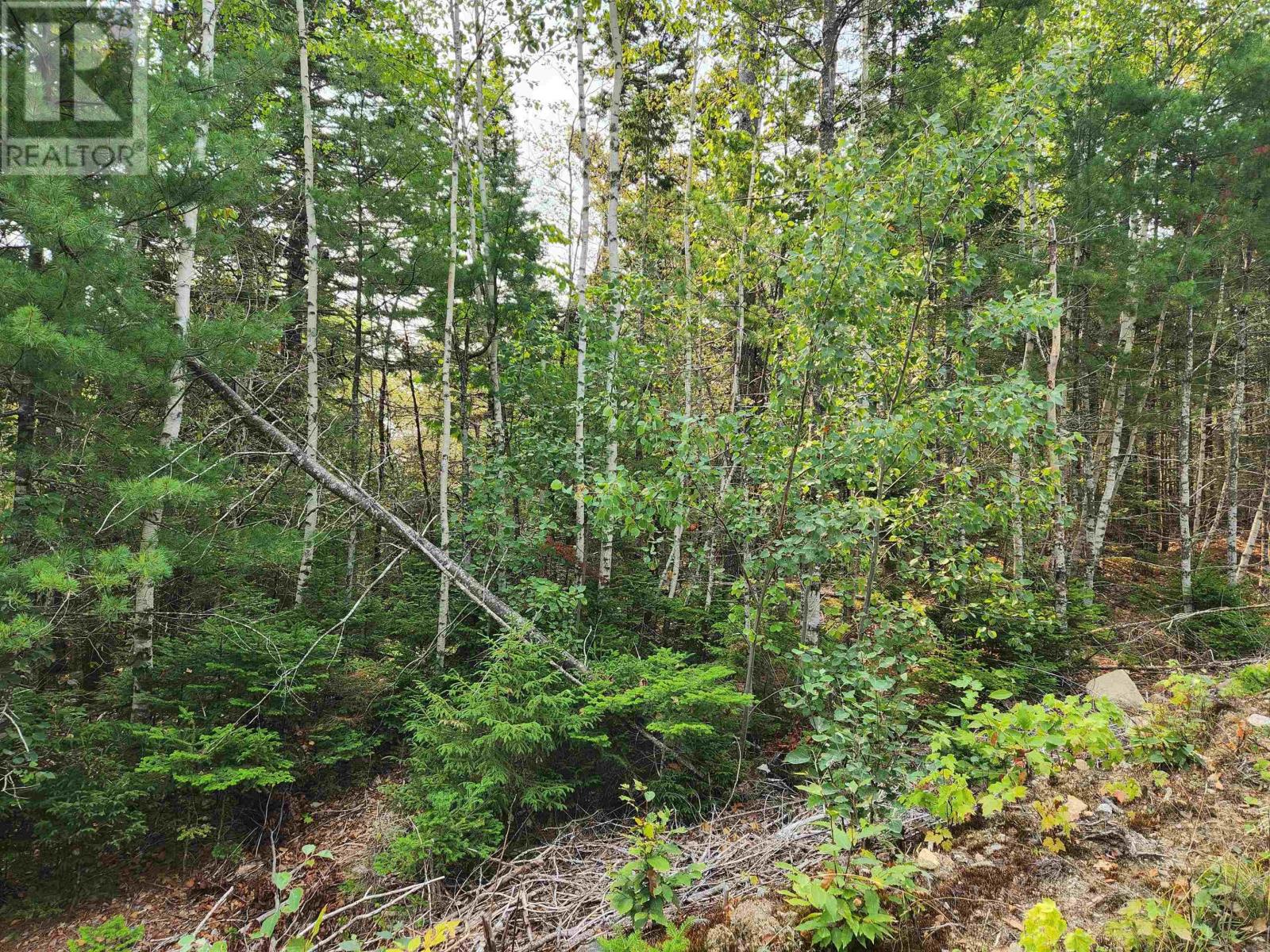 Lot 70 Turner Point Crossover - Photo 4