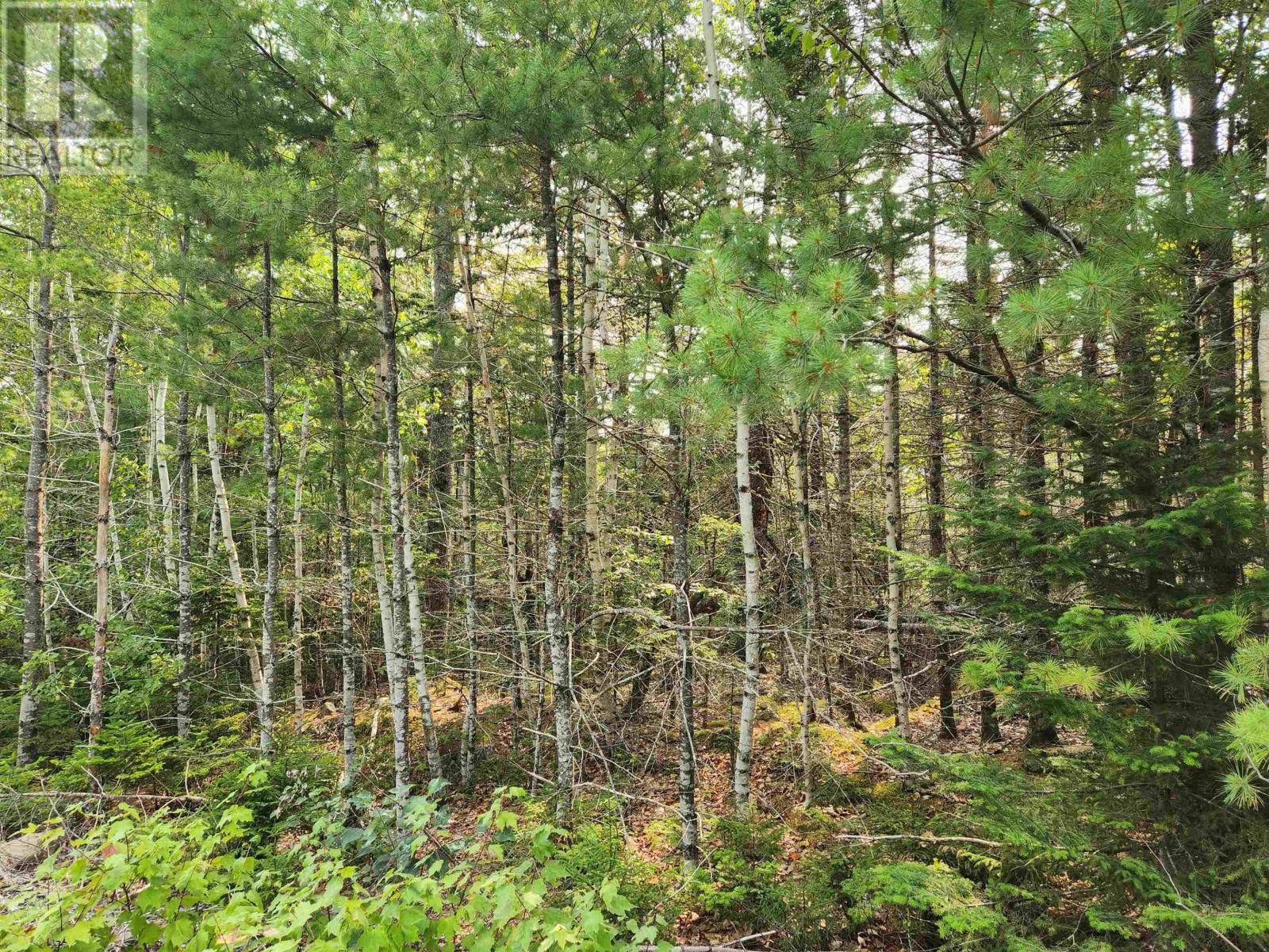 Lot 70 Turner Point Crossover - Photo 3