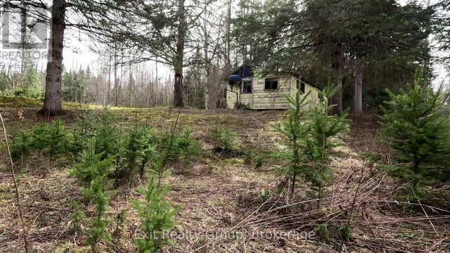 3606 COUNTY ROAD 620