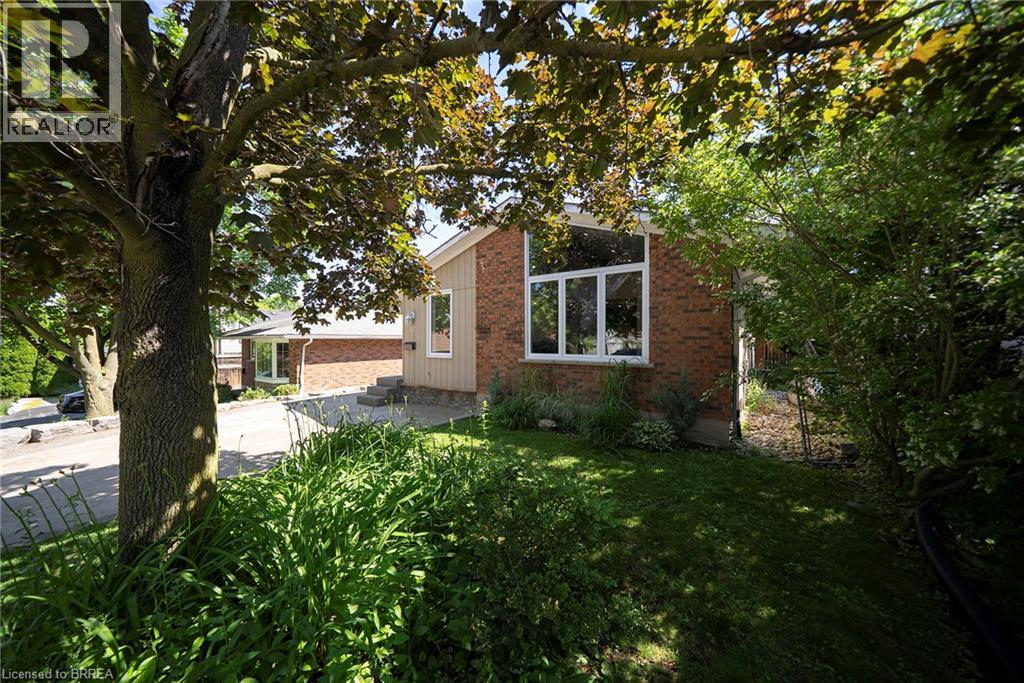 17 FLYNN Avenue
