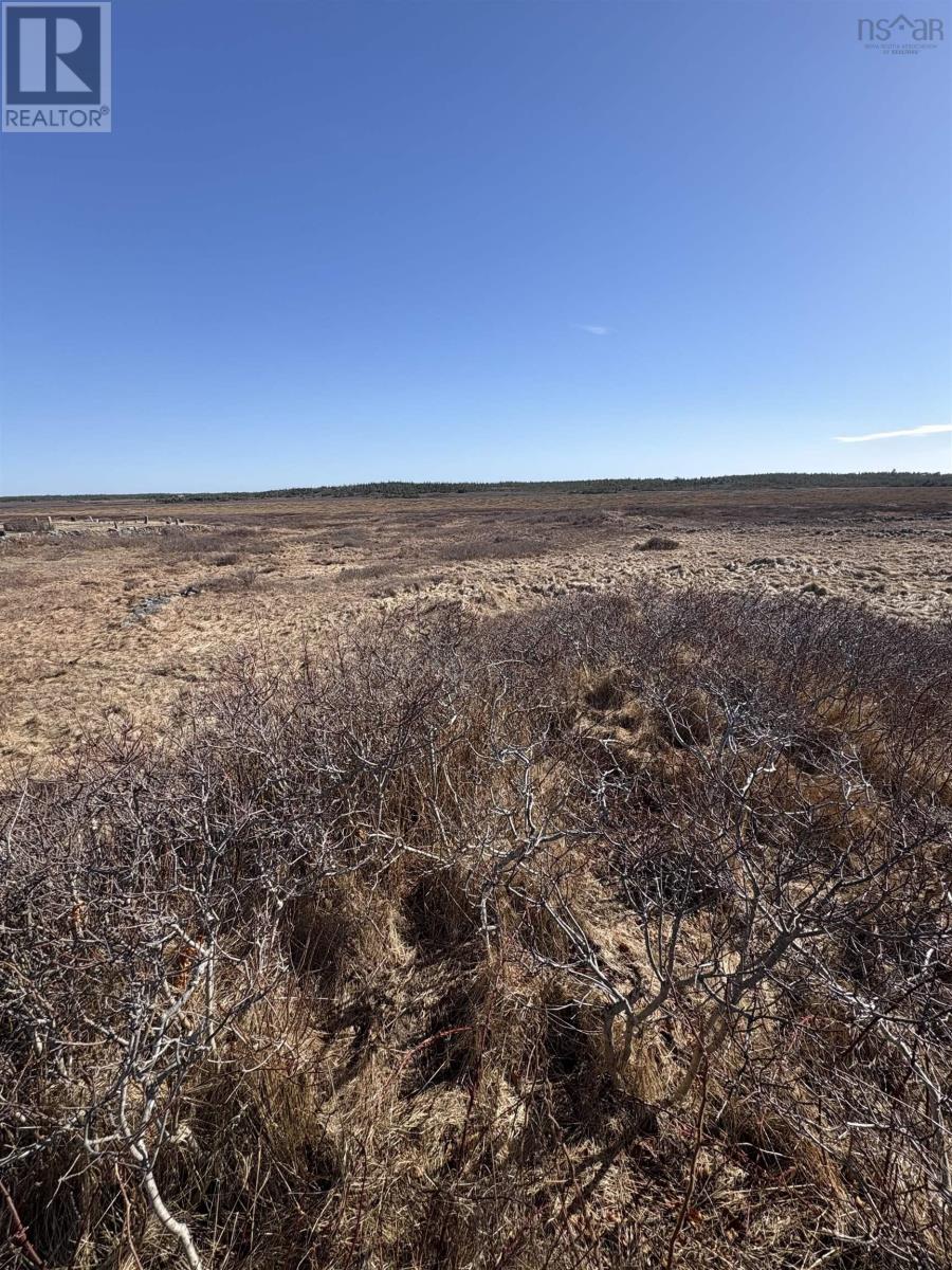 Lot (PID 80062219) Baccaro Road - Photo 4