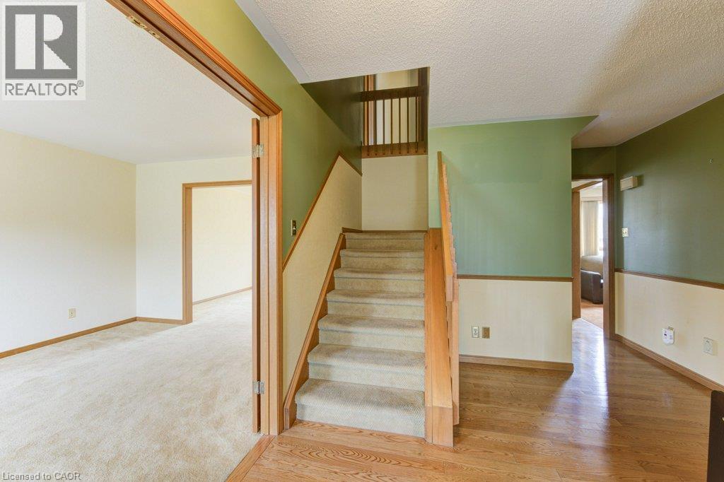 27 WALMER Gardens