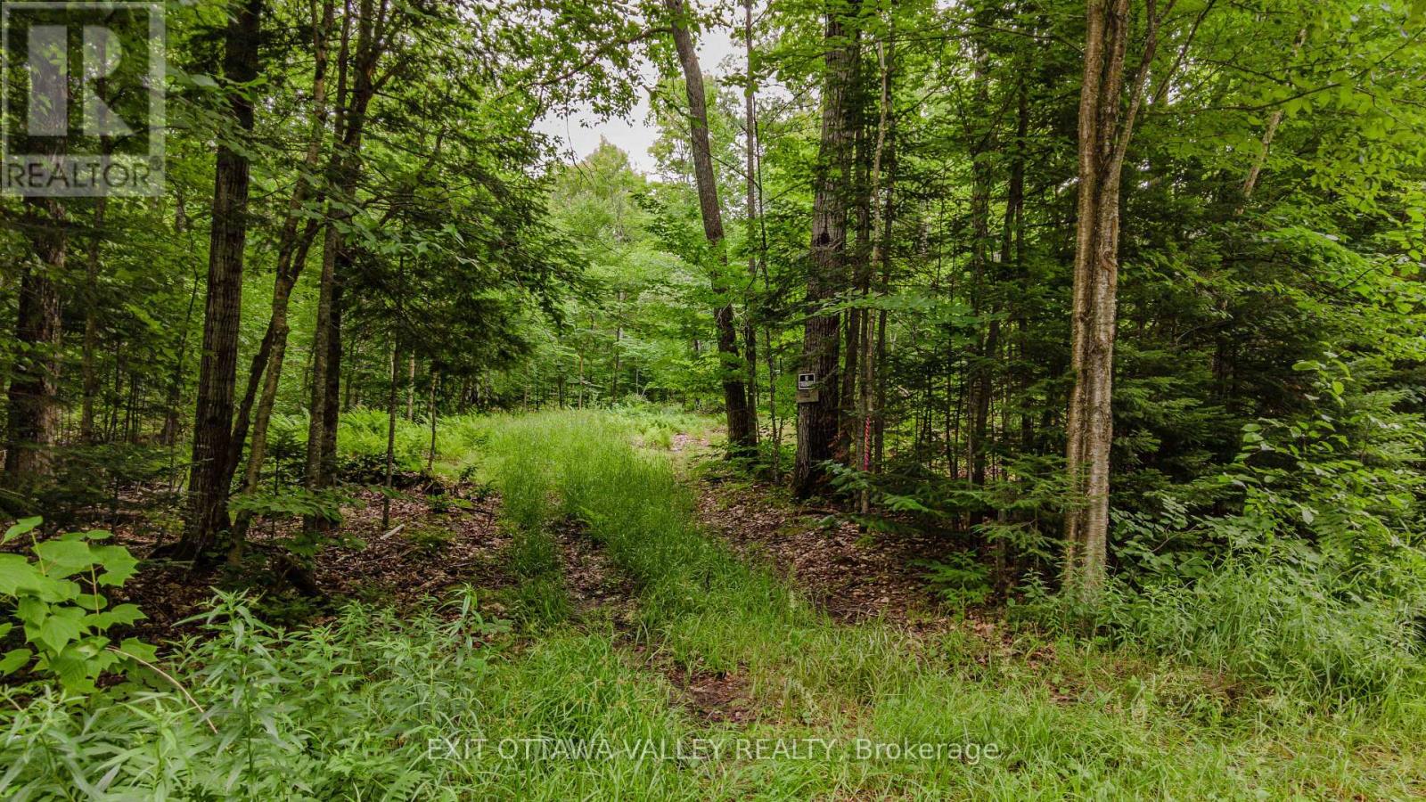 0 PEPLINSKIE ROAD - Photo 2