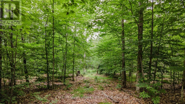 0 PEPLINSKIE ROAD