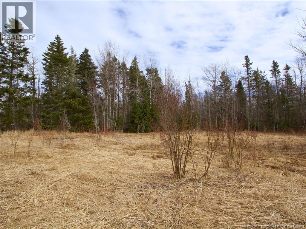 Lot Moore Road