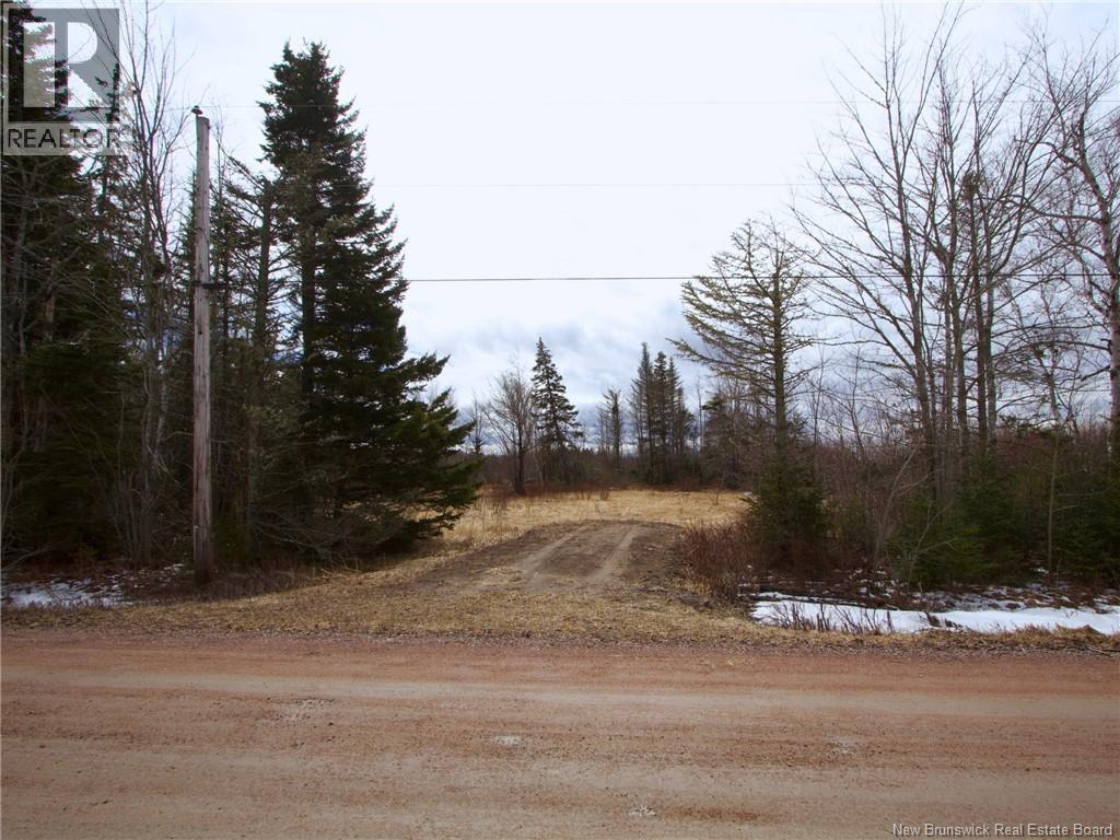 Lot Moore Road