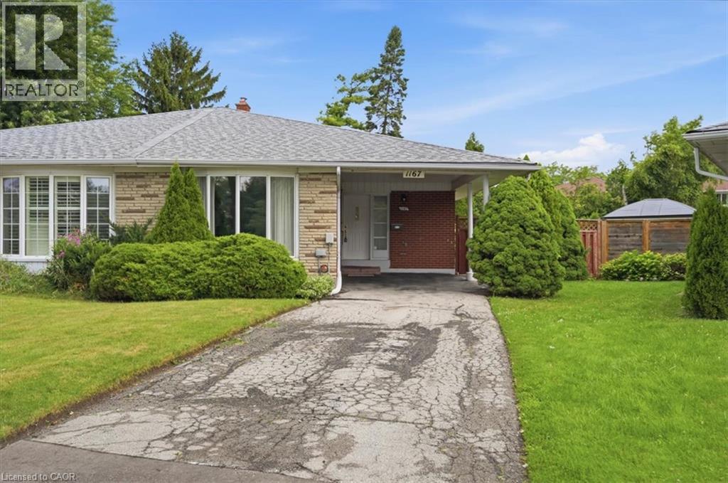 1167 SATURNIA Crescent