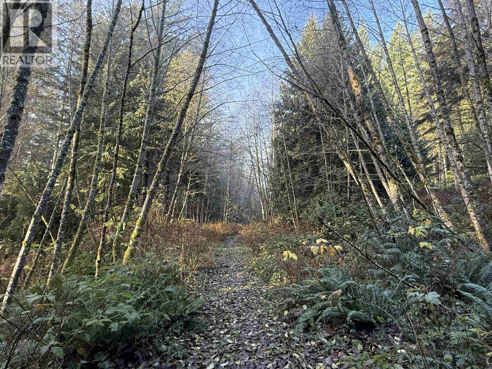 1594 CEMETERY ROAD
