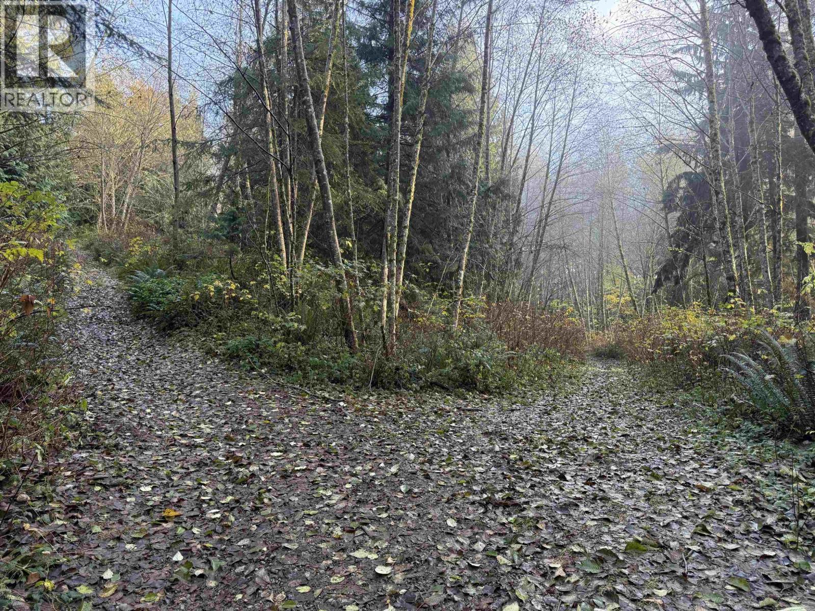 1594 CEMETERY ROAD
