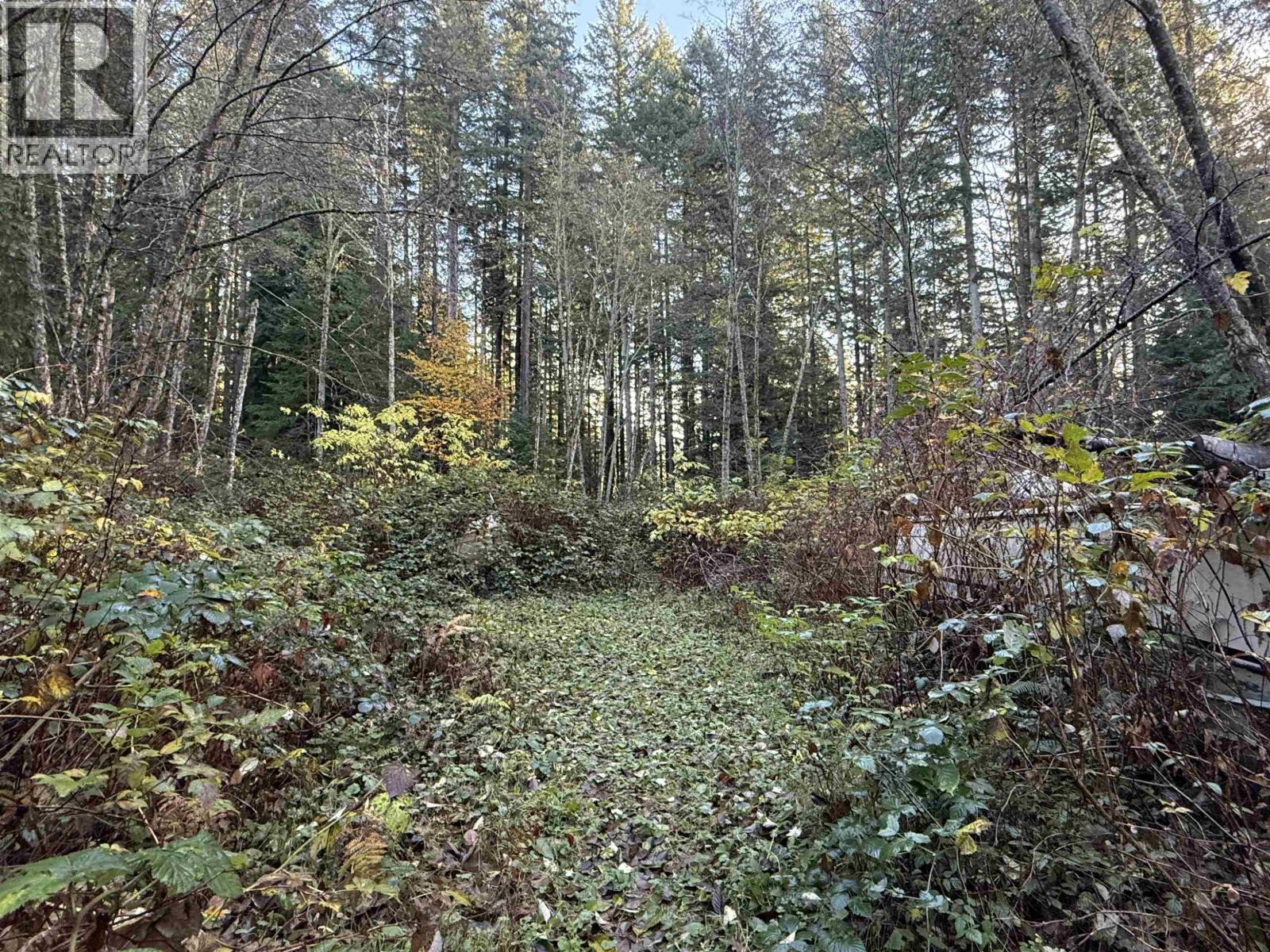 1594 CEMETERY ROAD