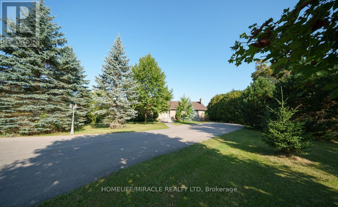 385 MOUNT PLEASANT ROAD