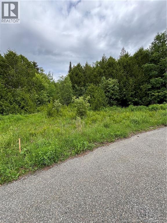 A-21 Fox Point Road - Photo 2