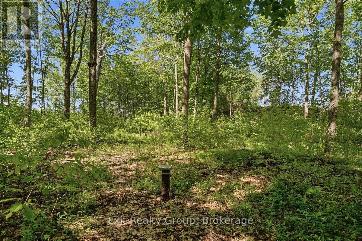 75 SPRY ROAD - Photo 4