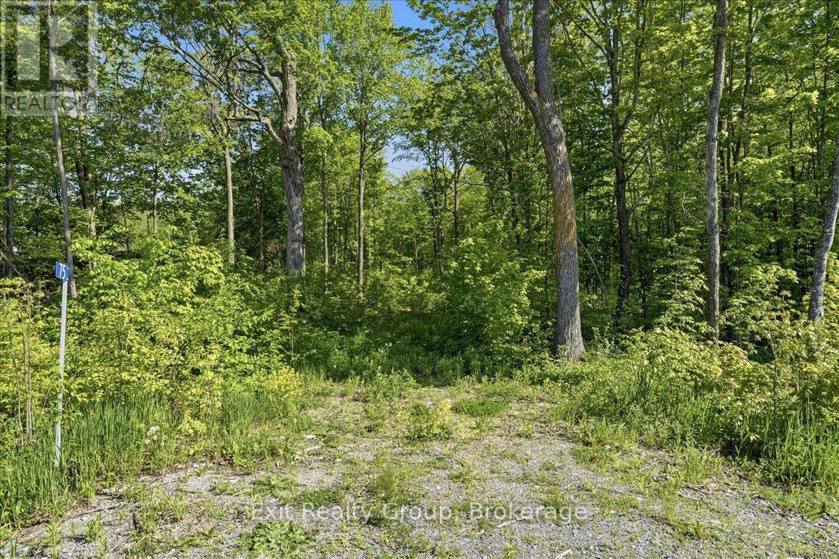75 SPRY ROAD - Photo 3