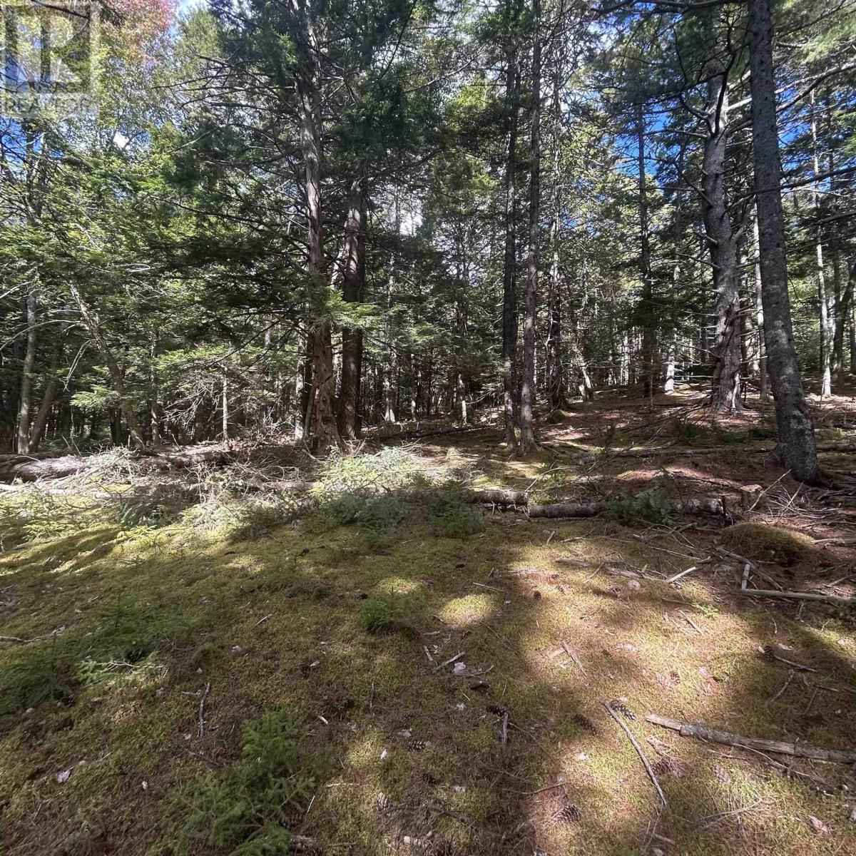 Lot 25-3 Conquerall Mills Road - Photo 4