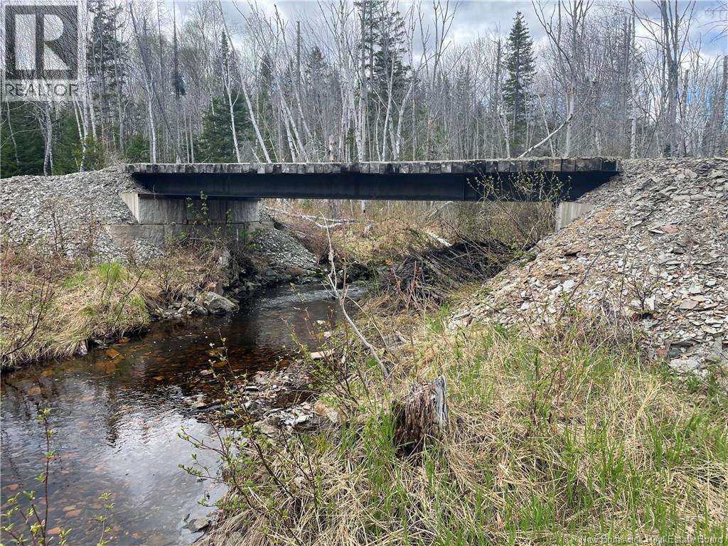 Lot Belledune Road - Photo 4
