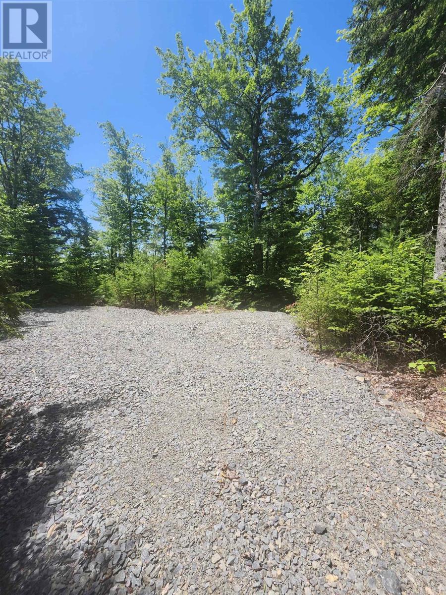 Lot 43 Russell's Cove Road - Photo 4