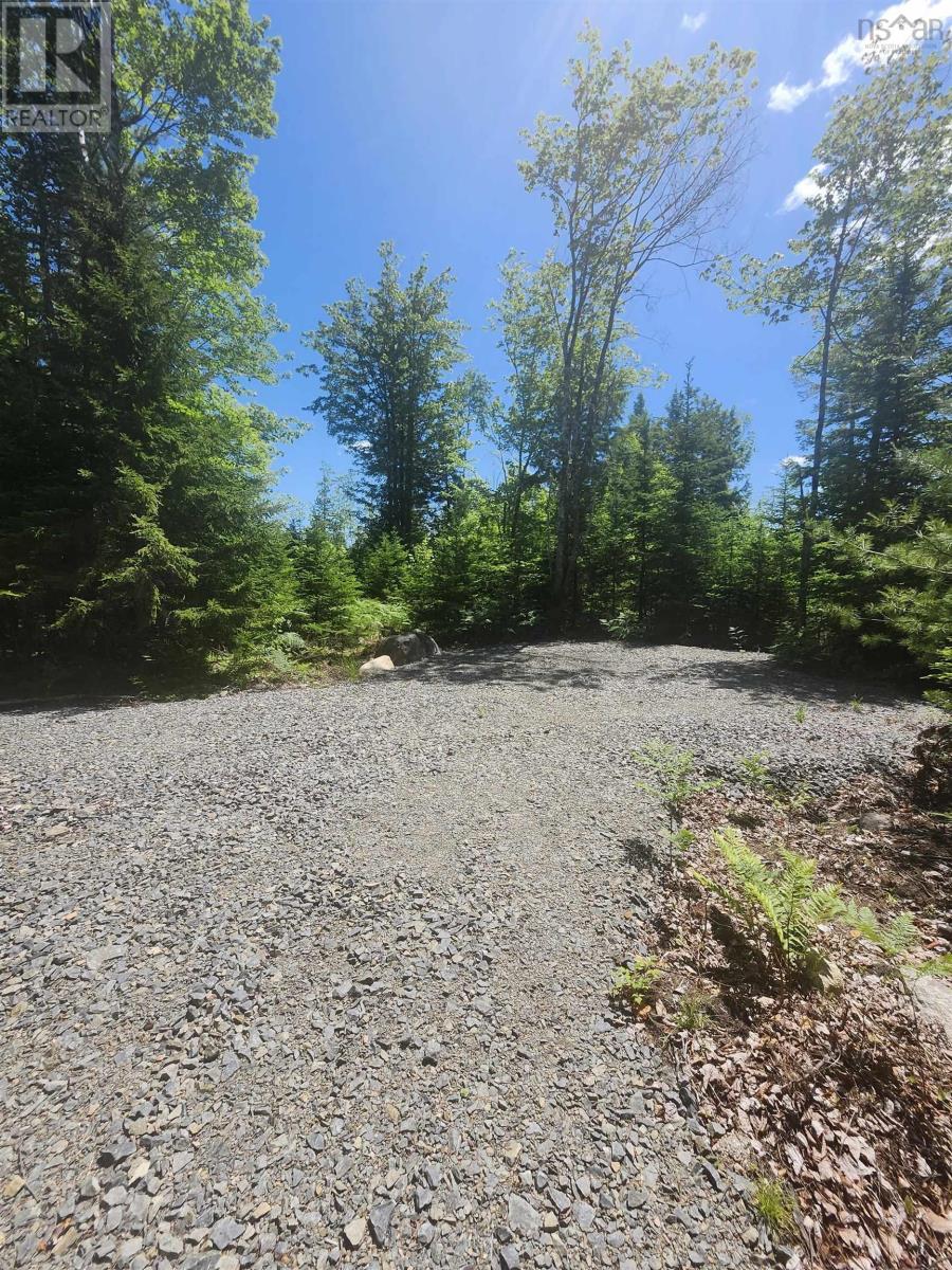 Lot 43 Russell's Cove Road - Photo 3