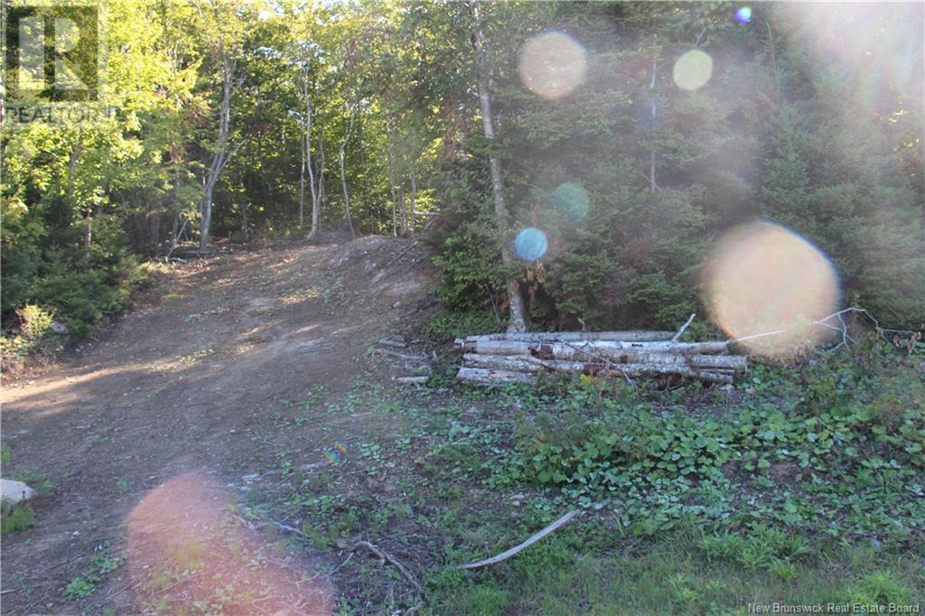 00 Shoreline Drive - Photo 4