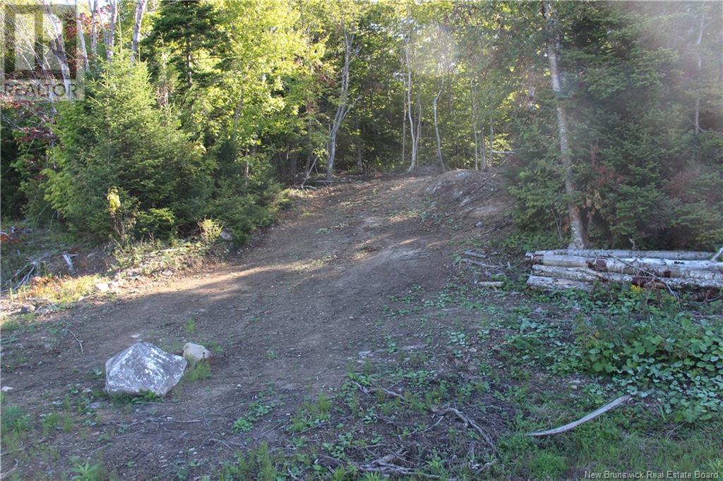 00 Shoreline Drive - Photo 2