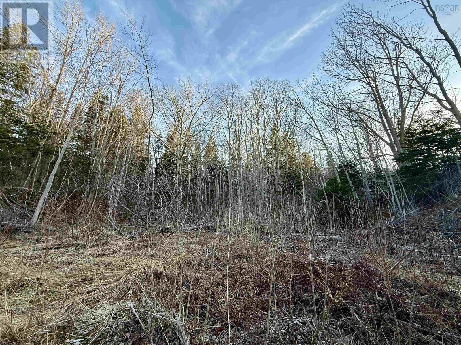 Lot Highway 4 - Photo 3