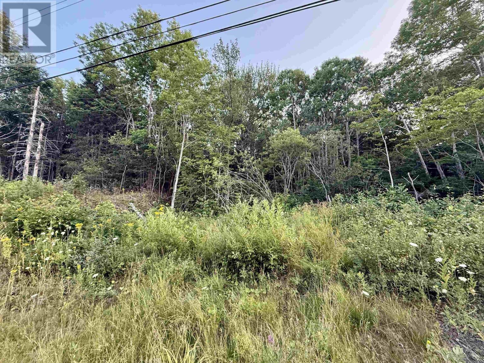 Lot Highway 4 - Photo 4