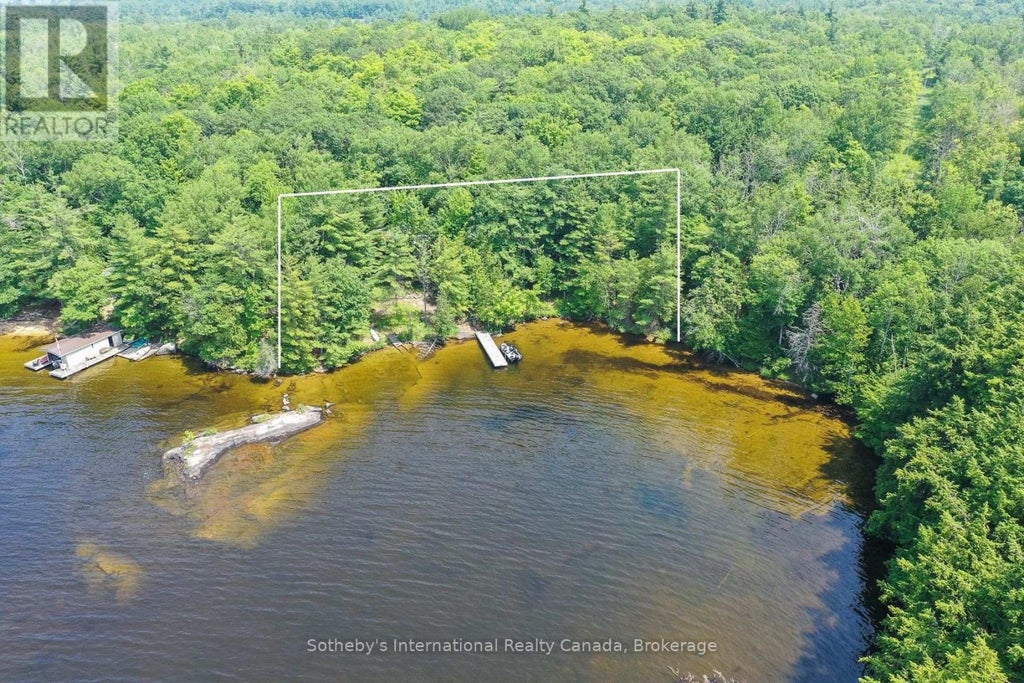 1338 BROWNING ISLAND, BRACEBRIDGE (MUSKOKA (N)), ON P1L 1X2 - Image 202862164.jpeg?d=l