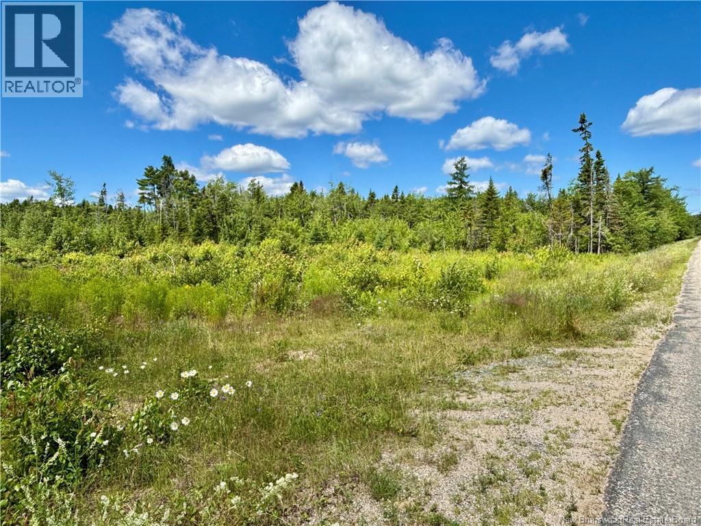 2.24 ACRES MCLEOD STREET