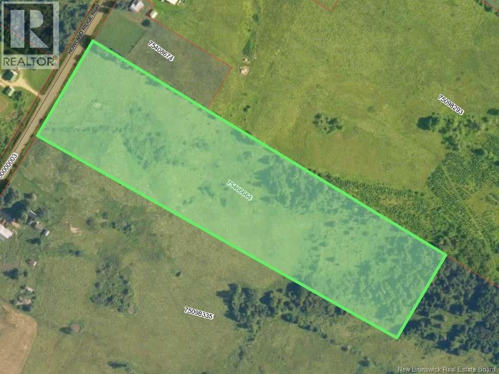 Howland Ridge Road - Photo 2