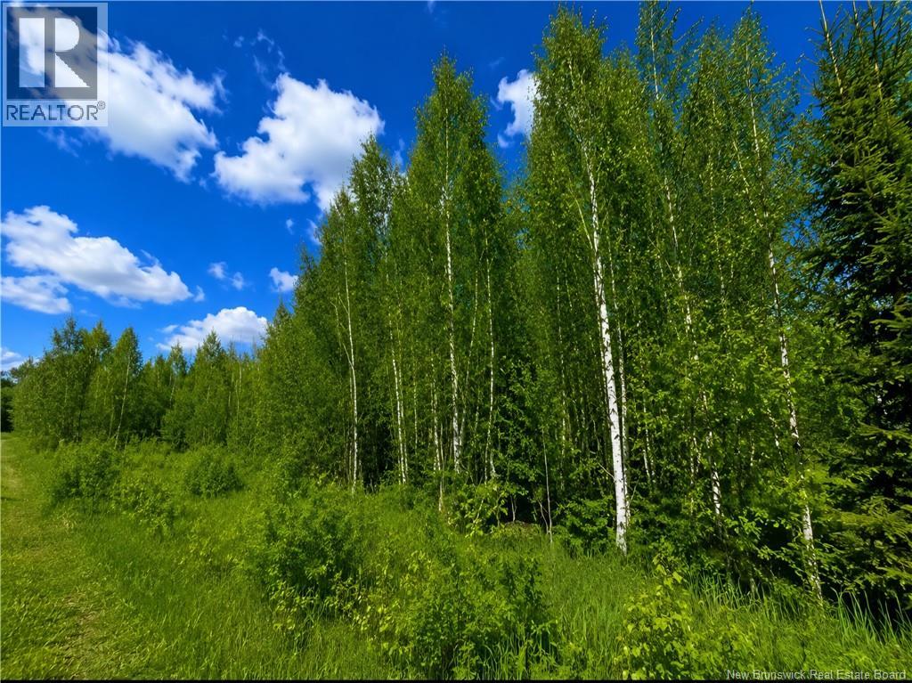 LOT Monteagle Road - Photo 3